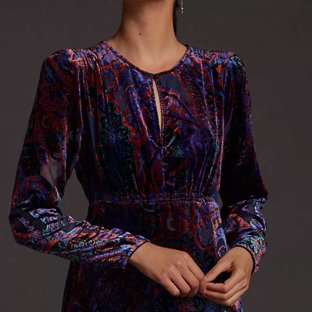 NWOT Anthropologie Velvet Burnout Dress